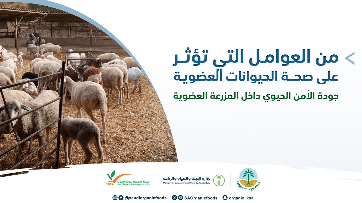 يجب على مربي الماشية توفير بيئة مناسبة للحيوانات (مساحات للتريض – وضع المظلات) لزيادة رفاهية الحيوانات وحمايتها من الظروف البيئية القاسية.
#نساند_عزيمتك_وندعم_انطلاقتك