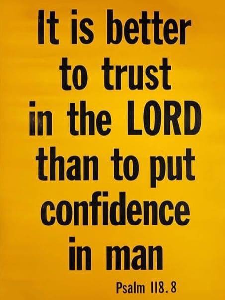 Stephen Gerard tweet media