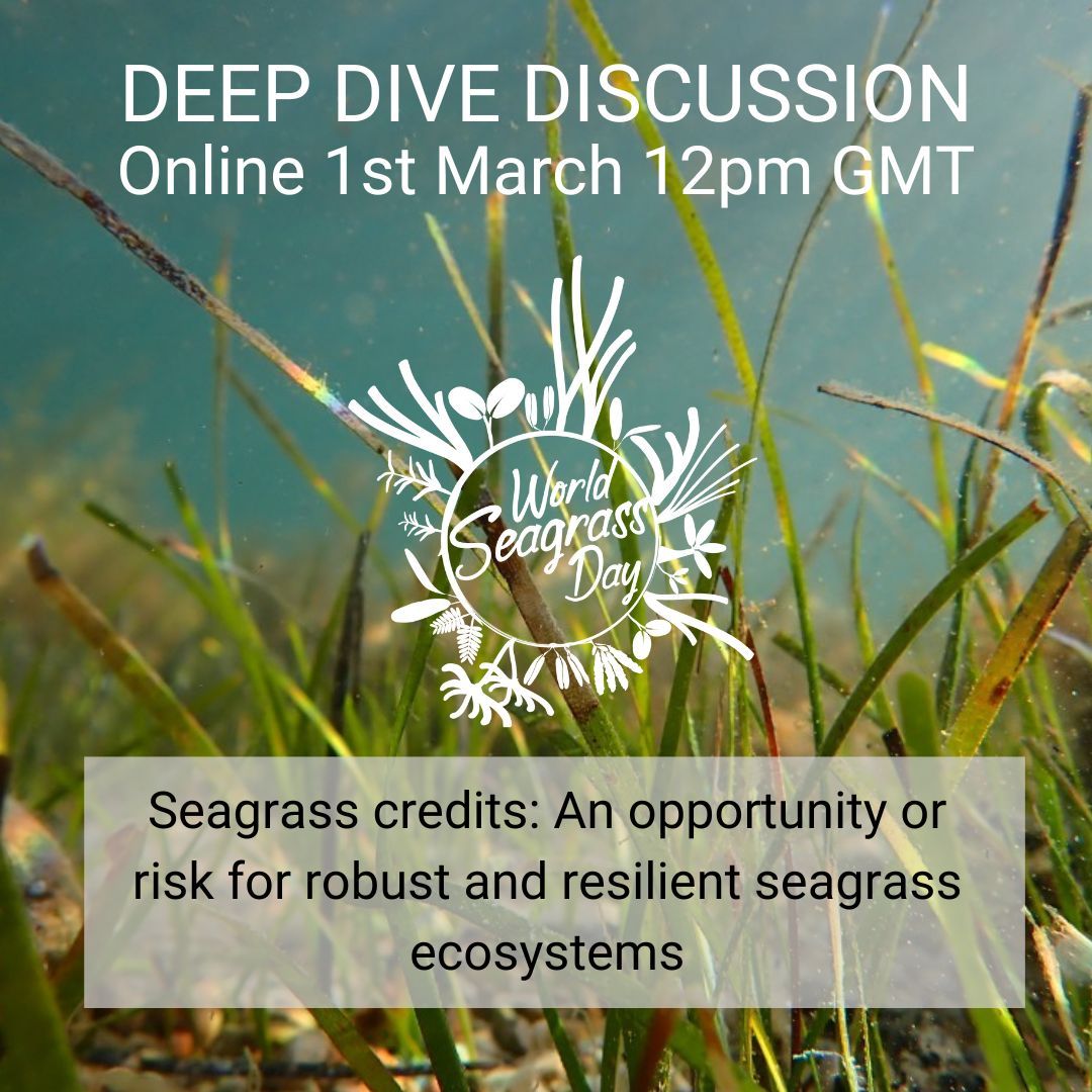 Only four days left to go! Have you secured your spot for an in-depth conversation about seagrass credits! Link - buff.ly/49L7kqD #worldseagrassday #seagrass #seagrasscredits #worldseagrassday2024