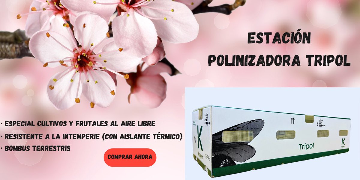 MEJORA TU COSECHA CON LA ESTACIÓN POLINIZADORA TRIPOL.

•Polinización de huertos frutales y cultivos hortícolas al aire libre 🫐
•Caja de plástico con aislante térmico ❄️
• #BombusTerrestris 🐝 

📦Compra ahora online.
🚚 Entrega 24h.
hortocampo.com/tienda/inicio/…