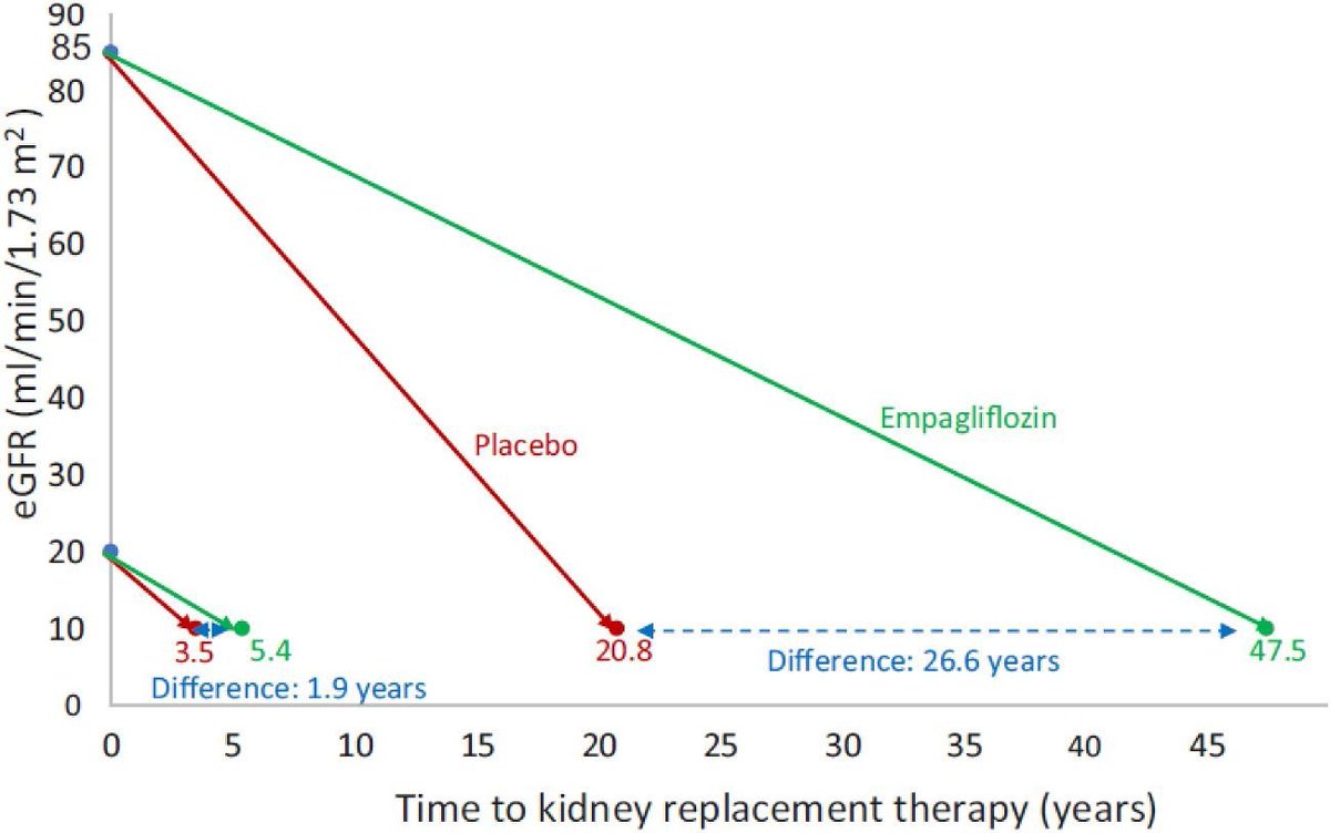 🧵
1/ Hypothetical scenario based on EMPA-KIDNEY results: chronic eGFR slopes into time to kidney failure, defined as eGFR 10 mL/min

✨The earlier we start flozinating, results in greater delay (to almost never) kidney failure #flozinate

academic.oup.com/ckj/article/16…