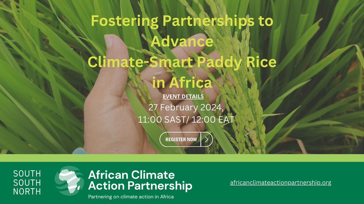 📢 Dont miss out on AfCAP's upcoming webinar on Fostering Partnerships to Advance Climate-Smart Paddy Rice in Africa🌾! We'll discuss current initiatives and explore opportunities for collaboration to promote low-emission rice production.
Register here ➡️ buff.ly/3UxpyaG