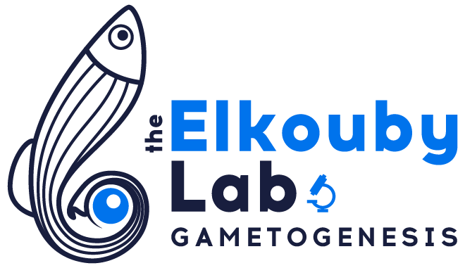 Yaniv Elkouby tweet media