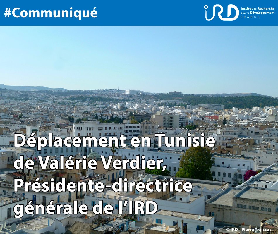 #Communiqué | 👉 <a href="/V_Verdier_IRD/">Valérie VERDIER</a>, PDG de l’#IRD sera en #Tunisie  du 26 au 29 février

🔍Ce déplacement intervient pour renforcer les #partenariats avec les principaux acteurs institutionnels, académiques et scientifiques 🇹🇳

🔗ird.fr/deplacement-en…

#DiplomatieScientifique