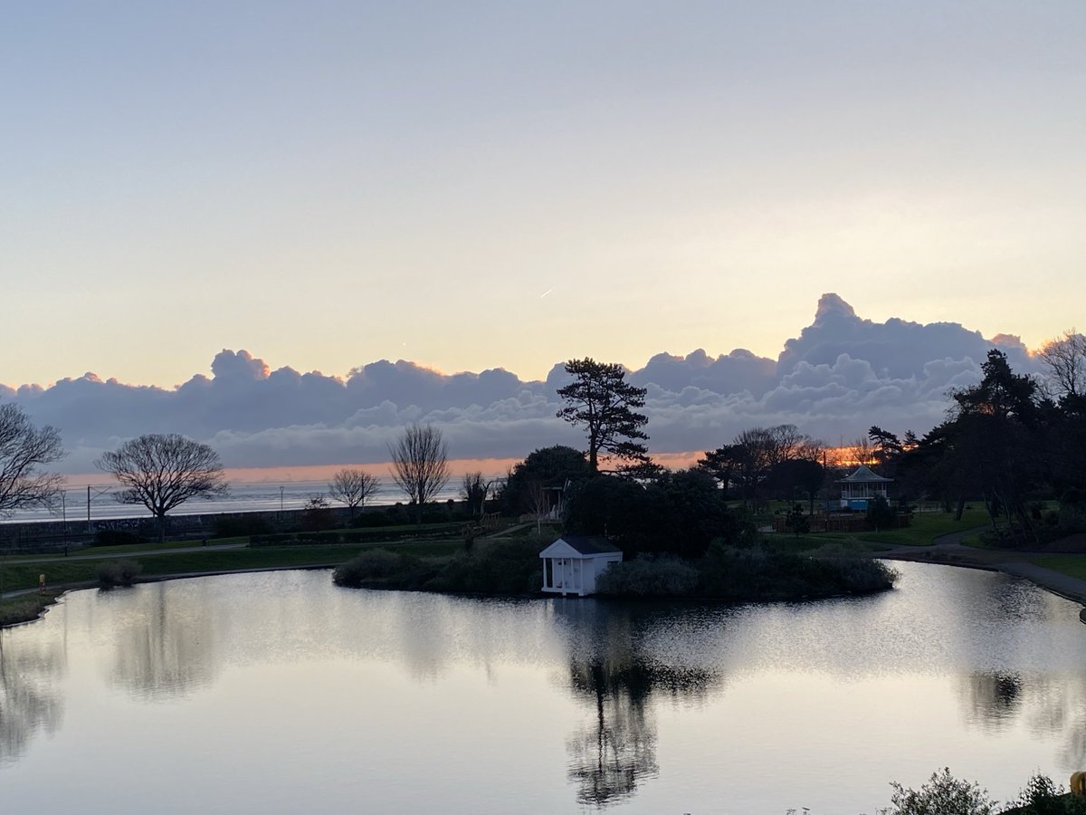 lilycogan tweet media