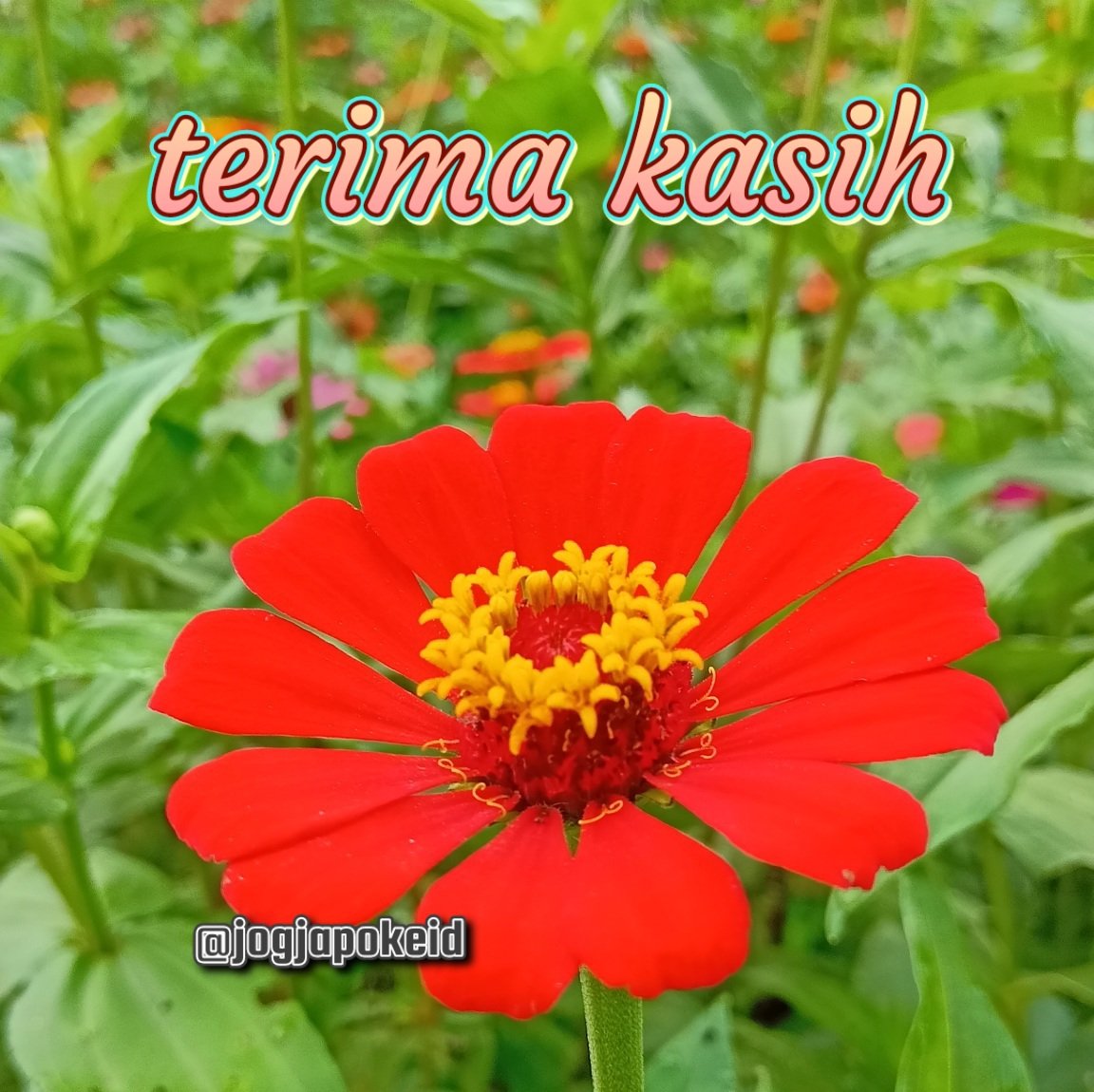 jogjapokeid (@jogjapokeid) on Twitter photo #F4F_Nusantara
#TEAMSTALLION
terima kasih
โฉโฝmas <a href="/RPrima789/">๐โฉเฟ ๐
ฑ๏ธ๐
ฟ๏ธriโ๏ธa777 ๐ฒ๐จ</a>
<a href="/tnmuda/">Tn Muda</a>
<a href="/_Dauph1ne_/">๐ฆ๐๐ฌDauphine๐ฌ๐๐ฆ</a>
<a href="/newIding30/">ABAH IDING ๐ฎ๐ฉ</a>
<a href="/aariejazz/">๐ฐ๐๐๐ ๐บ๐๐๐๐๐๐ฎ๐ฉ</a>
<a href="/jogjapokeid/">jogjapokeid</a>
<a href="/Sakayuki_03/">Sakayuki</a>
<a href="/SalimS55316579/">H. SALIM. Sp</a>
<a href="/salsabilnadifaa/">Nadifa Salsabila</a>
<a href="/Sami86PilangEko/">Eko cahyo Putro</a>
@Sandro268265
<a href="/sangaw1/">Sanga Wijaya</a>
<a href="/satriayuda__/">Yuda M</a>
<a href="/sangpemirsa/">optimus_jowo</a>
<a href="/SaeCoffee777/">Sae_Coffee</a>
<a href="/sahnur_afinda/">Sahnur Afinda</a>
<a href="/Saklawase10/">Saklawase</a> #F4F_Nusantara
#TEAMSTALLION
terima kasih
โฉโฝmas <a href="/RPrima789/">๐โฉเฟ ๐
ฑ๏ธ๐
ฟ๏ธriโ๏ธa777 ๐ฒ๐จ</a>
<a href="/tnmuda/">Tn Muda</a>
<a href="/_Dauph1ne_/">๐ฆ๐๐ฌDauphine๐ฌ๐๐ฆ</a>
<a href="/newIding30/">ABAH IDING ๐ฎ๐ฉ</a>
<a href="/aariejazz/">๐ฐ๐๐๐ ๐บ๐๐๐๐๐๐ฎ๐ฉ</a>
<a href="/jogjapokeid/">jogjapokeid</a>
<a href="/Sakayuki_03/">Sakayuki</a>
<a href="/SalimS55316579/">H. SALIM. Sp</a>
<a href="/salsabilnadifaa/">Nadifa Salsabila</a>
<a href="/Sami86PilangEko/">Eko cahyo Putro</a>
@Sandro268265
<a href="/sangaw1/">Sanga Wijaya</a>
<a href="/satriayuda__/">Yuda M</a>
<a href="/sangpemirsa/">optimus_jowo</a>
<a href="/SaeCoffee777/">Sae_Coffee</a>
<a href="/sahnur_afinda/">Sahnur Afinda</a>
<a href="/Saklawase10/">Saklawase</a>