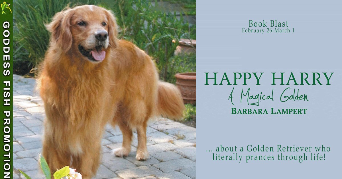 EdgarsBooks's tweet image. Happy Harry: A Magical Golden by Barbara Lampert - Book Blast and Giveaway dlvr.it/T3FvRp
