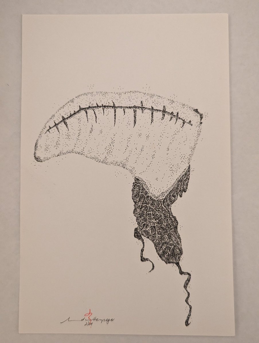 RevHappiness's tweet photo. Bluebottles
Felt pen on A5 art paper
If you'd like one or both, drop me a few dollars to cover postage and a few donuts and it's yours
#PointillismArtwork #Pointillism #PointillismArt #Stippling #StipplingArt #StipplingArtwork #Artline #ArtlinePens #Unipen #TheDrumAndPage #Art https://t.co/nND2968s38