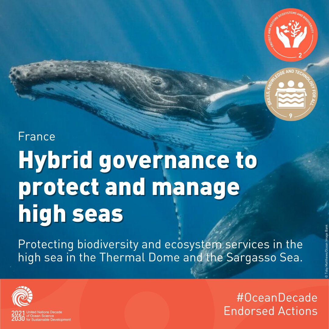 Led by <a href="/UBO_UnivBrest/">UBO - Univ. Brest</a> @IUEM_Brest and <a href="/UmrAmure/">UMR AMURE</a>, this project will contribute to the protection of biodiversity and ecosystem services in the high sea in the Thermal Dome and the Sargasso Sea, feeding the UN negotiations on #BBNJ.

🔗ow.ly/6Ein50QHH1a

#OceanDecade