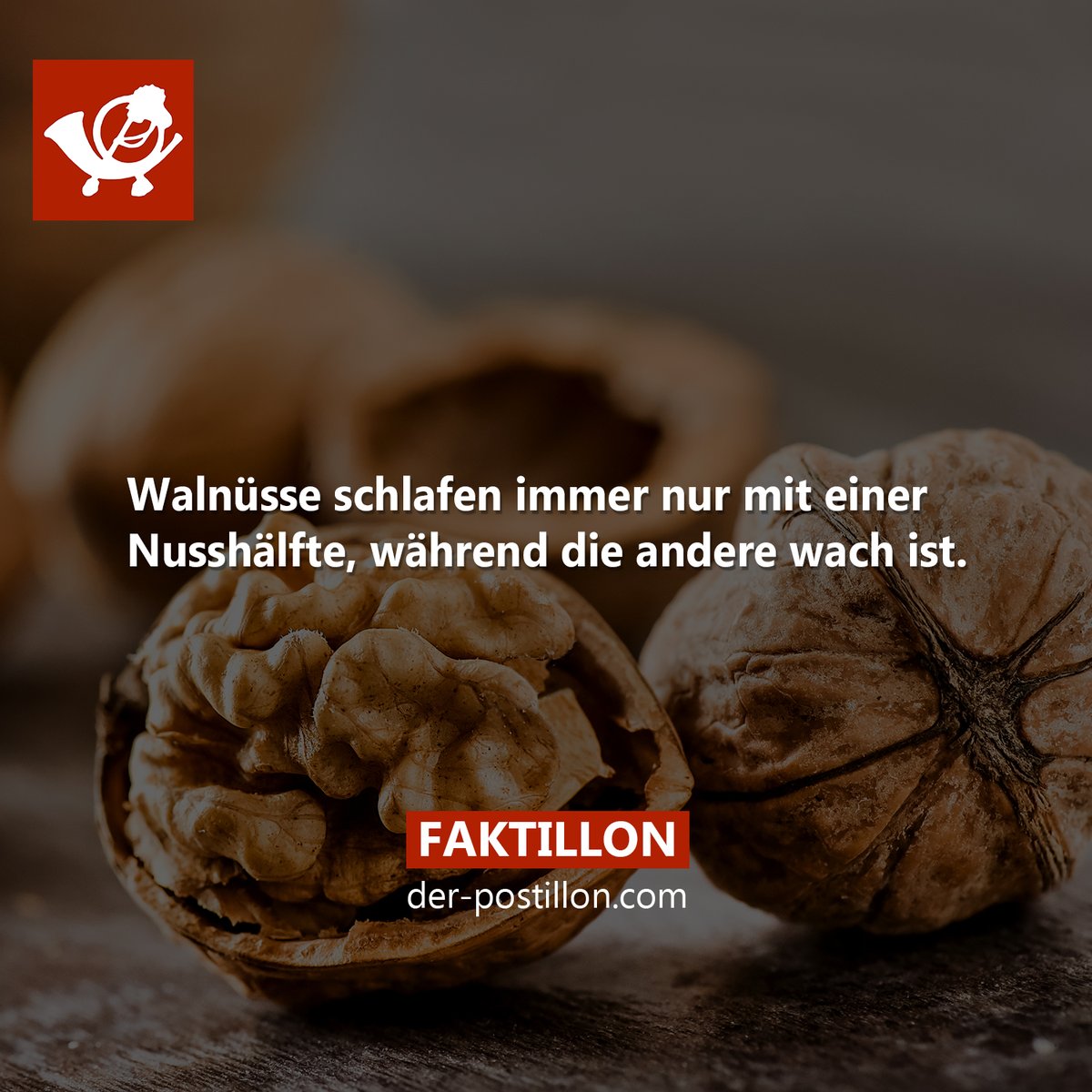 Die besten Fakten als Buch 👉 shopillon.de/faktillon/
Ehrliche Nachrichten auf 👉 der-postillon.com