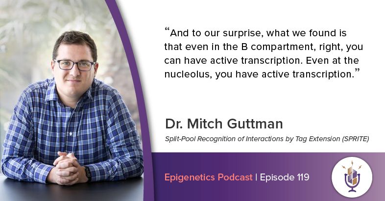 In the most recent episode we talked with @mitchguttman from @Caltech about his work on characterising the 3D interactions of the genome using Split-Pool Recognition of Interactions by Tag Extension (SPRITE). #epigenetics Listen here: activemotif.com/podcasts-mitch…