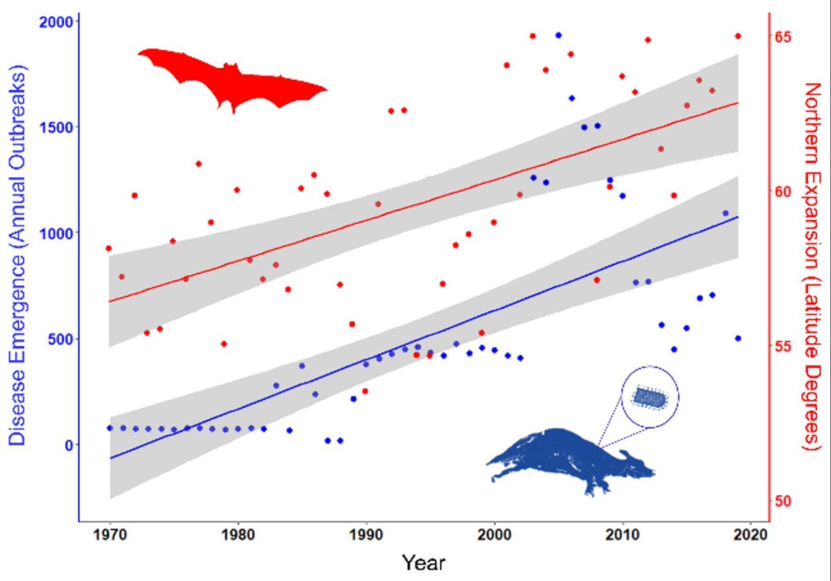 ISNTD (@isntd_press) on Twitter photo A recent study has shown that ongoing #climatechange is linked to the habitat expansion of common vampire #bats in North America, which is associated to #rabies spillover from wildlife to domestic animals. buff.ly/3IckEIE <a href="/Pvandevuurst/">Paige Van de Vuurst 🦇🌡️🌎</a> <a href="/Luis_Escobar_VT/">Luis E. Escobar</a> <a href="/qiaohj/">Qiao Huijie</a> <a href="/dsolert/">Diego Soler-Tovar</a> A recent study has shown that ongoing #climatechange is linked to the habitat expansion of common vampire #bats in North America, which is associated to #rabies spillover from wildlife to domestic animals. buff.ly/3IckEIE <a href="/Pvandevuurst/">Paige Van de Vuurst 🦇🌡️🌎</a> <a href="/Luis_Escobar_VT/">Luis E. Escobar</a> <a href="/qiaohj/">Qiao Huijie</a> <a href="/dsolert/">Diego Soler-Tovar</a>