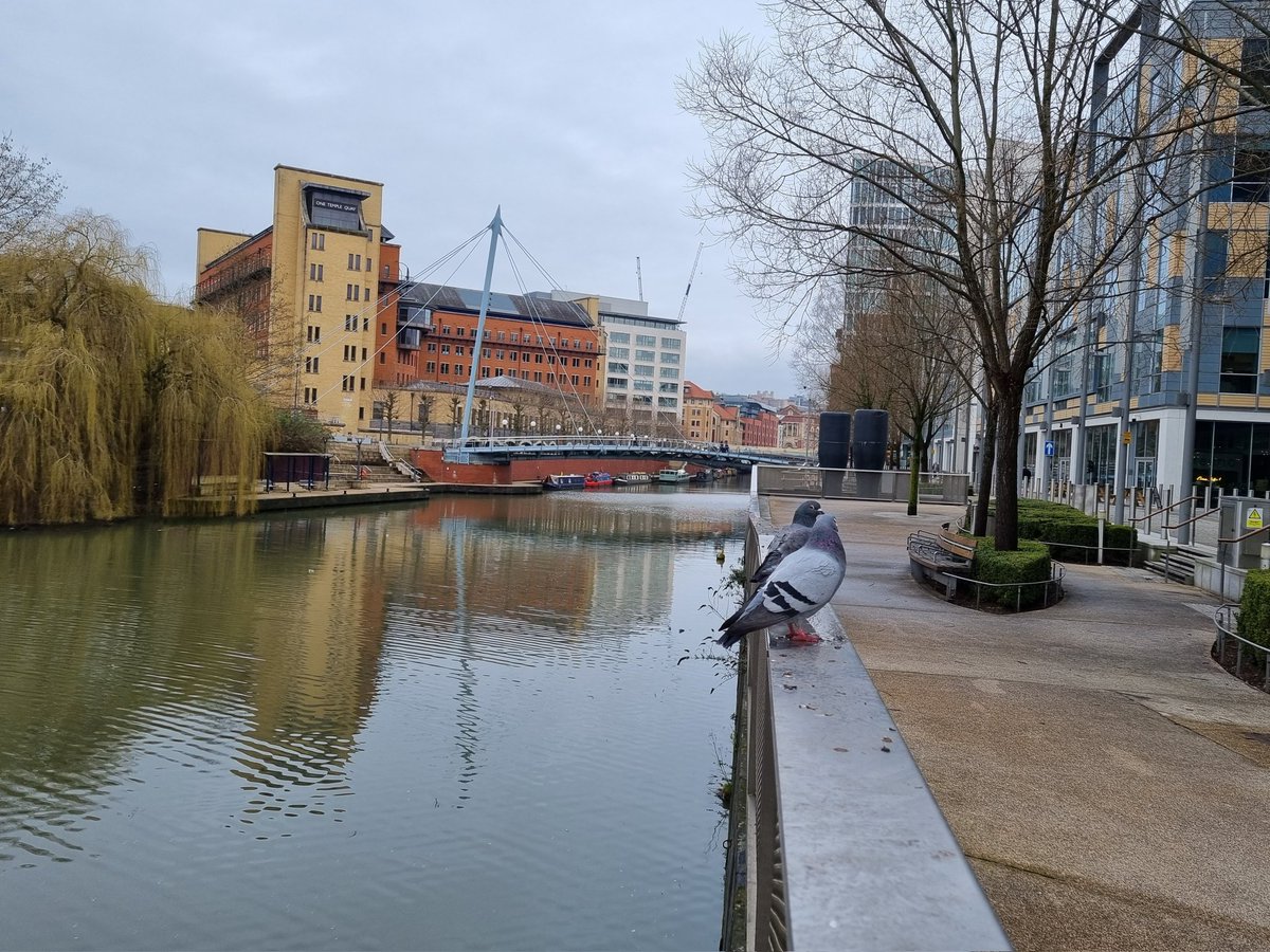 2 years ago I was beginning what was a 2 month slog travelling around the country collecting data for 2 projects. It was tiring at the time but possibly my favourite time within my career so far #datacollection