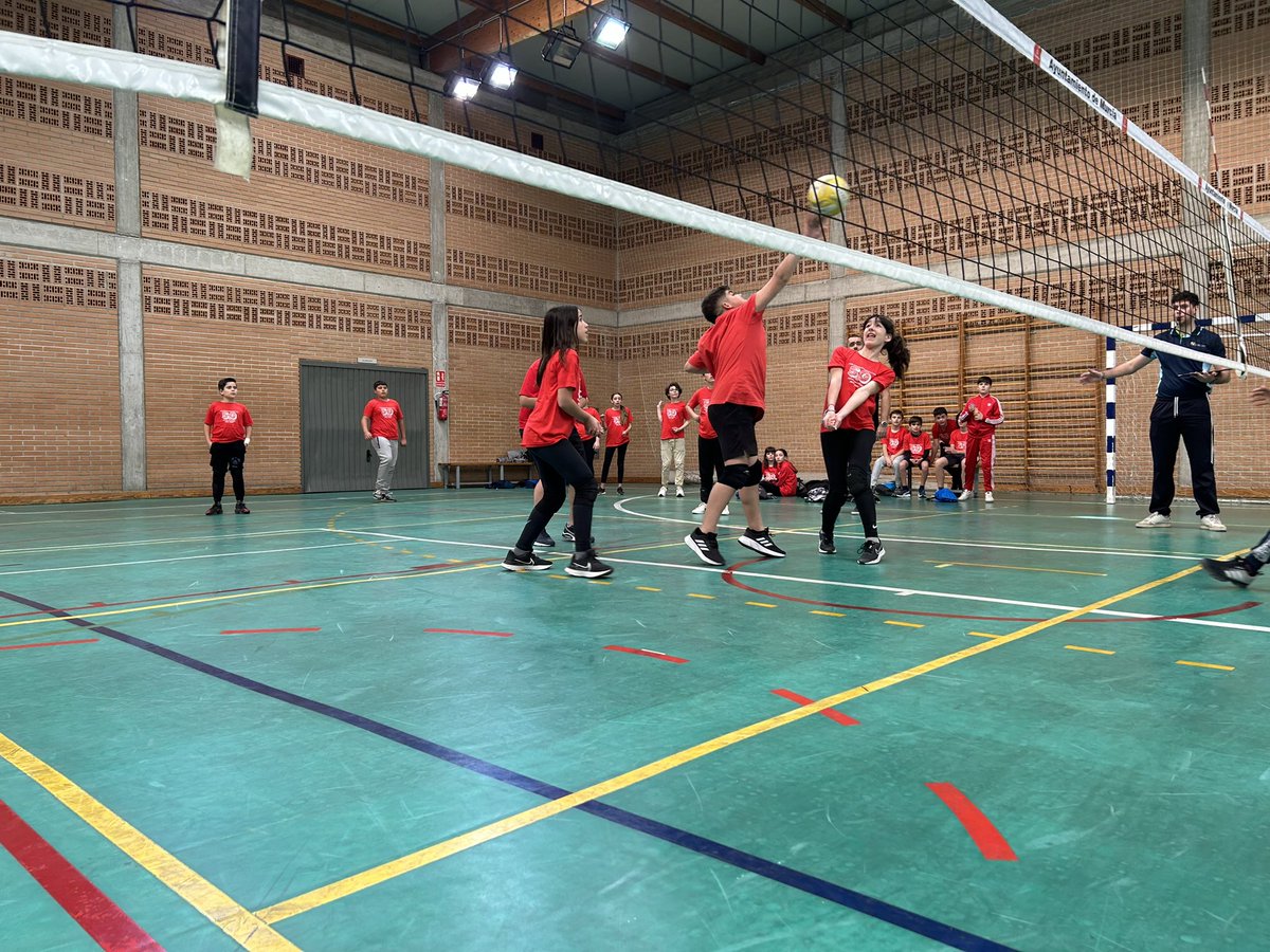 CEIP ANTONIO DELGADO (@ceip_addorrego) on Twitter photo Estupenda jornada de Deporte Escolar <a href="/AytoMurcia/">Ayuntamiento de Murcia</a> con el equipo de voleibol del colegio. Estupenda jornada de Deporte Escolar <a href="/AytoMurcia/">Ayuntamiento de Murcia</a> con el equipo de voleibol del colegio.