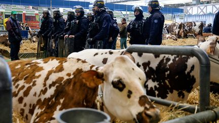 Fils2Psy's tweet image. Très champêtre le salon #MiliPol cette année ⤵️  - « Tout ce qui a trait à la vache m'émeut » !
 #SalonAgriculture2024