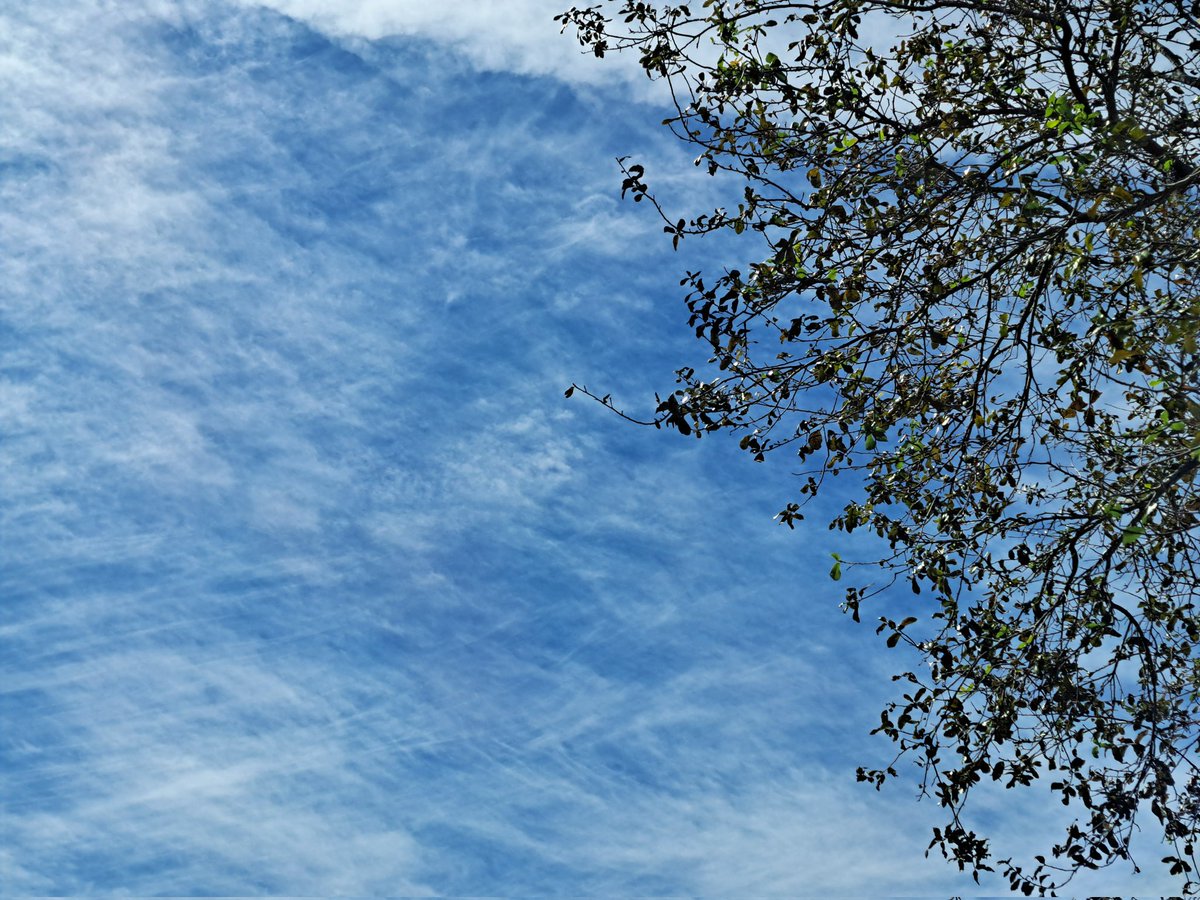 chelliebeach954's tweet photo. Some #HiSky #EyesToTheSkies https://t.co/FA7cLJA2h5