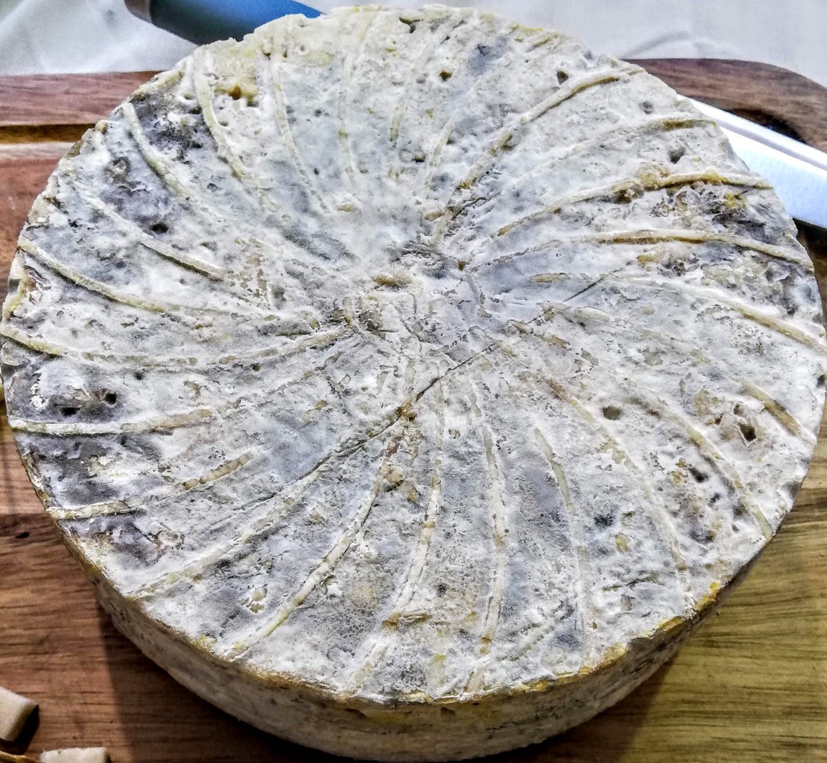 <a href="/bryngaergoats/">Bryngaer Goats</a> cheese will be at St David's Day Food and Craft Weekend at the National Botanic Garden of Wales 2nd-3rd March. Blue or Manchego-style goat's cheese in beautiful surroundings. <a href="/walesbotanic/">🏴󠁧󠁢󠁷󠁬󠁳󠁿 Gardd Cymru 🌿 Garden of Wales</a> #carmarthenshire #nationalbotanicgardenofwales #gardenofwales #stdavidsday