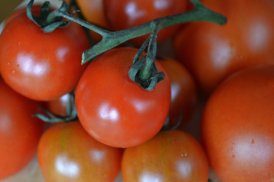 LGSpace's tweet image. Growing your own veg can cut your carbon footprint &amp;amp; save money. You can also enjoy healthy food that’s free from pesticides - and if you create a nature-friendly space, there are lots of beneficial insects that will help you! 🐞🐝🦋
Ideas here: bit.ly/3uSHGkM