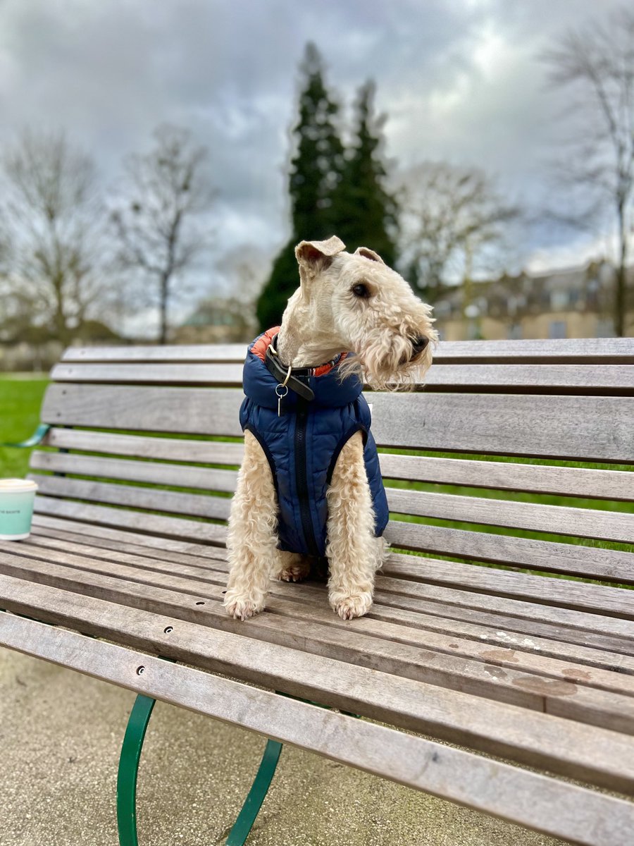 I shall sit here and say a hearty hello to everyone who walks by and have a quick chat ❤️❤️❤️