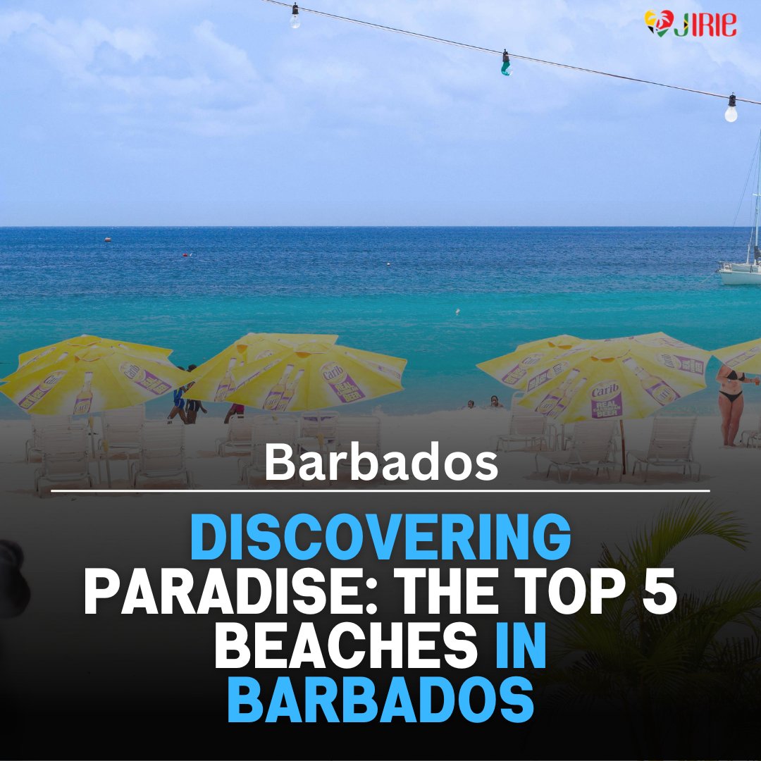 Caribbean Focus Lifestyle tweet media