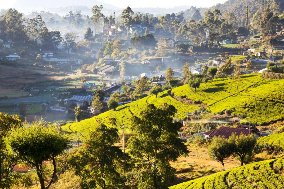 Proud of @WMO's active participation in the South Asia Hydromet Forum in Sri Lanka, which helped strengthen collaboration on crucial hydrology and meteorology initiatives. In a densely populated region prone to weather hazards, strengthening #EarlyWarningSystems and resilience is