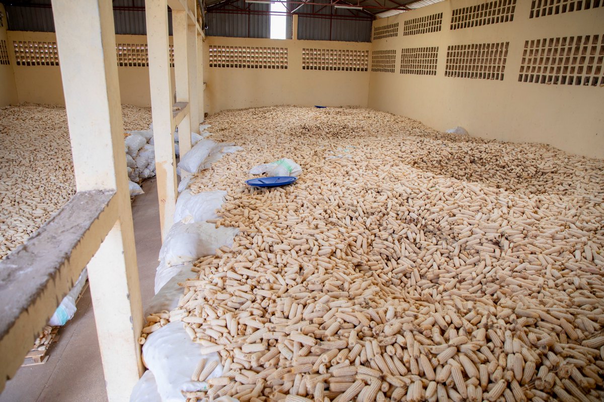 Rwanda Agriculture & Animal Resources Devpt Board tweet media