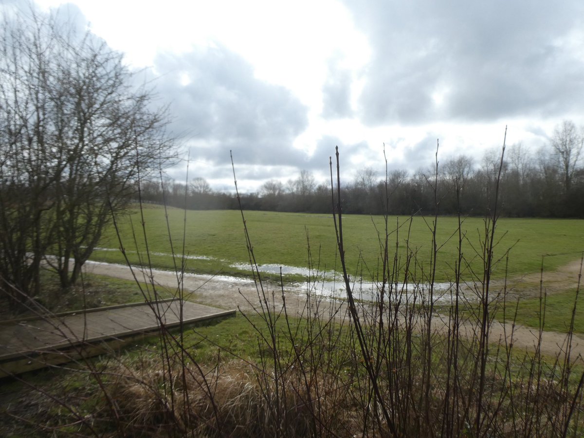 Yesterday Rainbows, Brownies , Guides Rangers and Leaders visited Marston Forest Centre to complete the Marston Challenge Badge and celebrate Thinking Day 24.

We even had sun!
<a href="/BedsGuides/">Beds Guiding</a> <a href="/gguidinganglia/">Girlguiding Anglia</a> #MarstonForestCentre