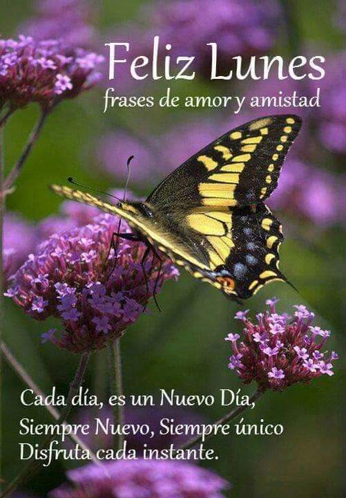 Felíz Lunes #26Feb
.@edalge @yami2336 @quiskillosa @MemaEmma53 @tripeareslomio  @anny060687 @salser077 @CarlosR_ONIPC @catatumbo721 @TOPASTROGUN @JoseRafaelbenc2 @Reylope13 @noel947821183 @1412yolis @RoblesMep @elarcangeljhon  @machadodz @RafaelG67242950
#oriele #gfvip