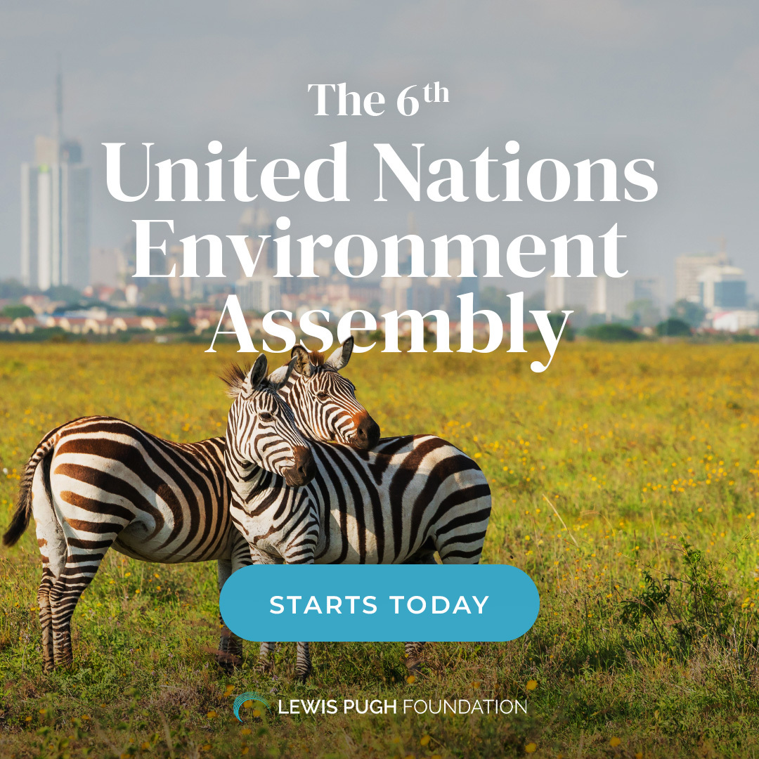 Here's the rundown: 🌍 weaves together the multilateral agreements nations have committed to 🤝 provides a space for member states to agree on environmental guardrails and drive action 🌐 tackles climate change, biodiversity loss and pollution #UNEA6