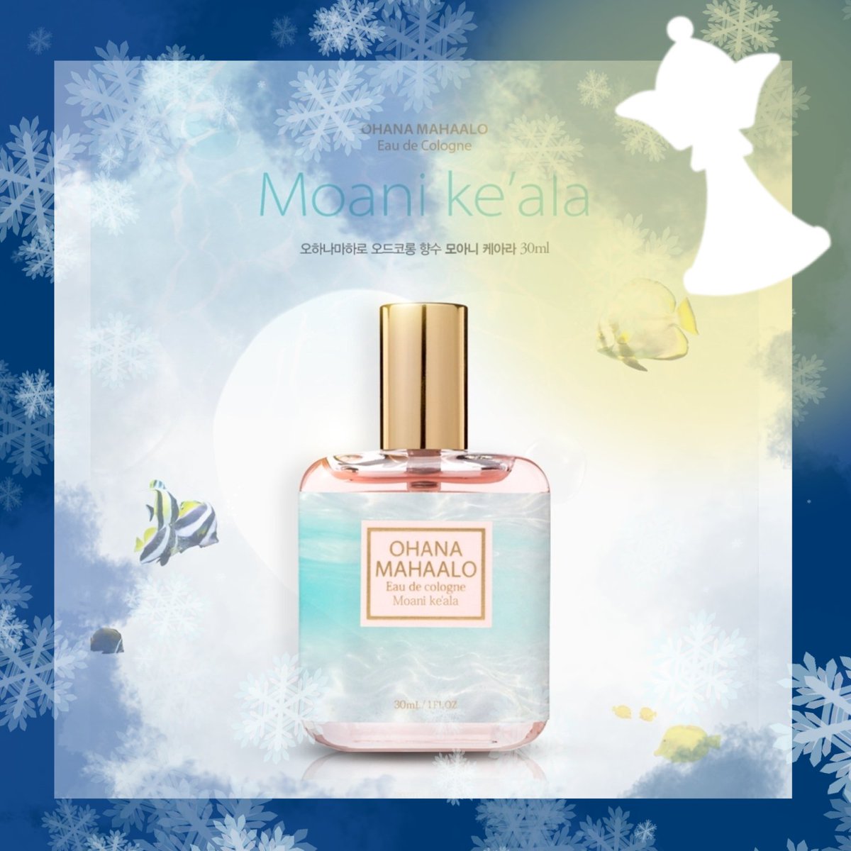 개최취소윈터드림⚜️❄️Winter Dream❄️ tweet media