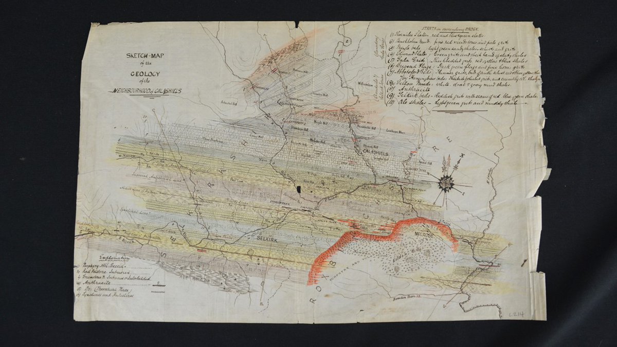 Lapworth Museum of Geology tweet media