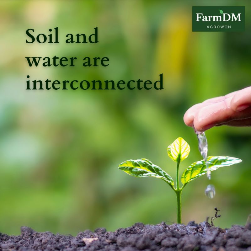 Thank you!  A wonderful video to help us understand the inextricable union between water and soil.

#SoilAction #SoilHealth #WaterAction #SaveSoilMovement  #SaveSoilForClimateAction 

@Green__Planner  @gplanet_news @IFPRI