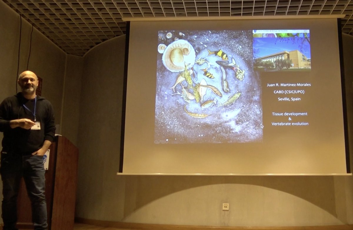 <a href="/Afminan4/">Ana Fernández</a> <a href="/iesvvalme/">IES Virgen de Valme</a> <a href="/cepse4/">CEP MAIRENA DEL ALCOR</a> <a href="/CEPdeSevilla/">CEP de Sevilla</a> <a href="/pablodeolavide/">Pablo de Olavide</a> <a href="/CSICAndalExtrem/">CSIC Andalucía y Extremadura</a> <a href="/UniversidadAnd/">Consejería Universidad, Investigación e Innovación</a> <a href="/SOMM_alliance/">SOMM alliance</a> <a href="/emmacepsevilla/">Emma M S Asesora CT</a> <a href="/CEPSevilla/">CEP de Sevilla.</a> Esta jornada ha contado con una fantástica charla divulgativa de <a href="/JuanRMartinezMo/">Juan R. Martinez-Morales</a> del #CABD que ha explicado las bases de la biología del desarrollo y la evolución teniendo como punto de partida: la formación de las manos

La puedes disfrutar:
🎥 youtu.be/0YgwxiVu26c