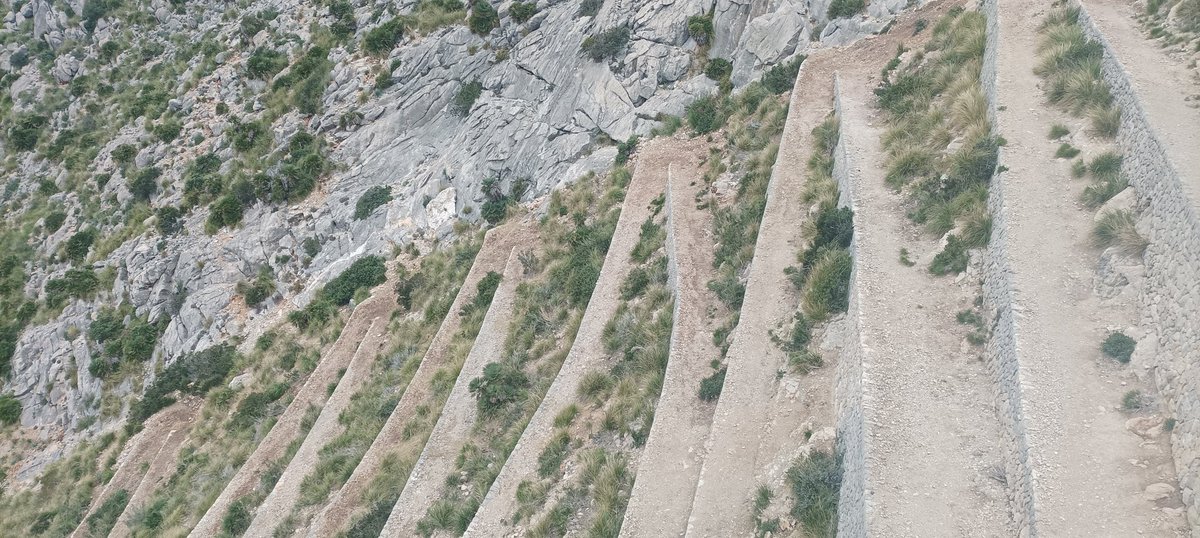 BielBibiloni's tweet photo. Es febrer s'està acomiadant sent febrer. Amb un auba preciosa, vent, fred i aigua.
#GR221 #Formentor #CalaMurta #RutaPedraEnSec https://t.co/kz4kIjzAsG