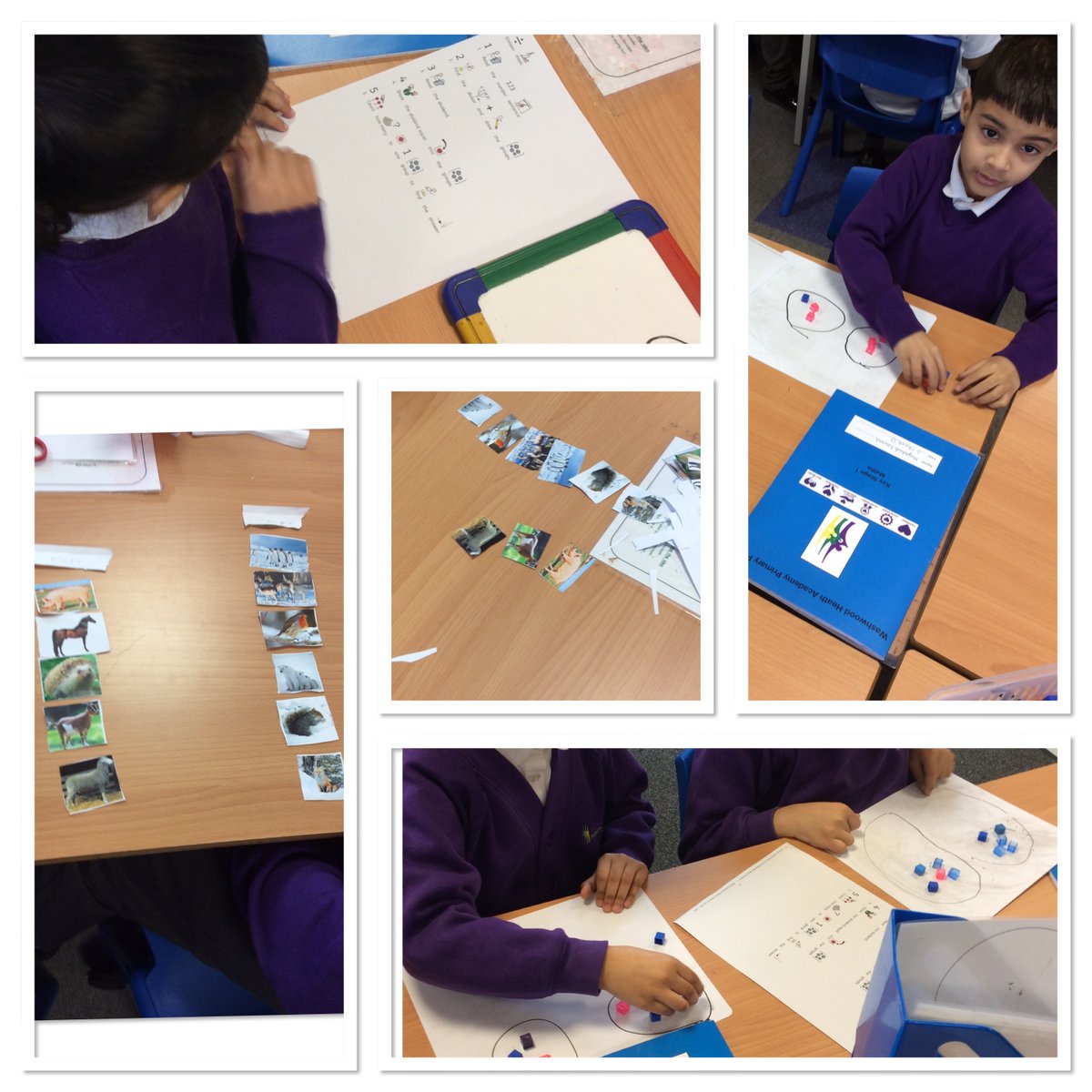 Year 2 have been using Manipulatives in maths to support their learning of division.  We have also used our oracy skills to talk about how different animals adapt to habitats.