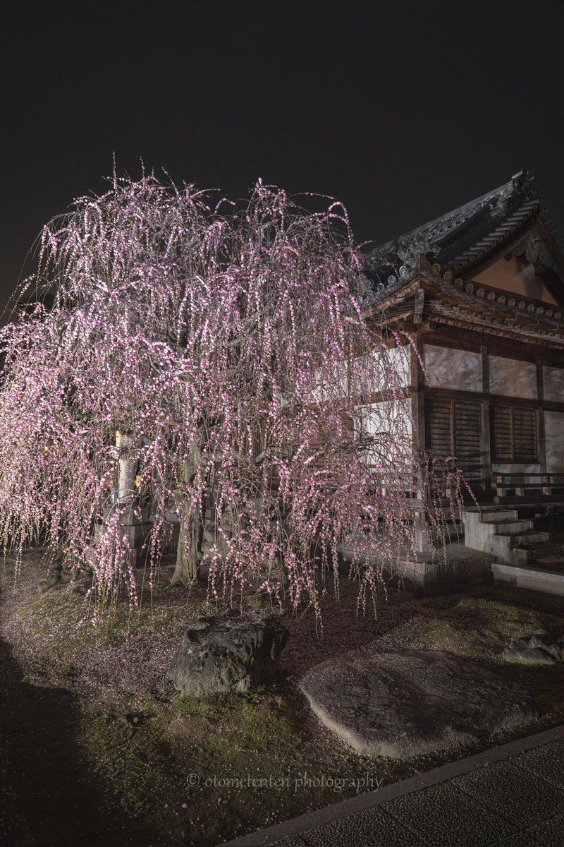 #bestjapanpics
#bestphoto_japan
#japan_great_view
#japan_night_view
#longexposure_japan
#Love_bestjapan
#NSG_IG
#photojapan
#raw_japan
#raw_nightshots
#raw_tokyo
#shikokucameraclub 
#special_spot_
#tokyocameraclub
#visitjapanjp
#延命寺
#観音寺市
#広がり同盟
#東京カメラ部