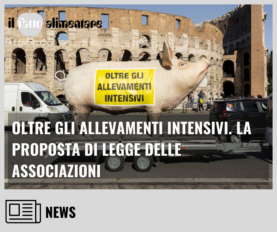 FattoAlimentare's tweet image. 🐔🐷🐮Le associazioni @Greenpeace_ITA, @ISDEItalia, @LipuODV, Terra! e @WWFitalia hanno presentato una proposta di legge per superare il modello degli allevamenti intensivi
Leggi qui 👇
ilfattoalimentare.it/oltre-allevame…