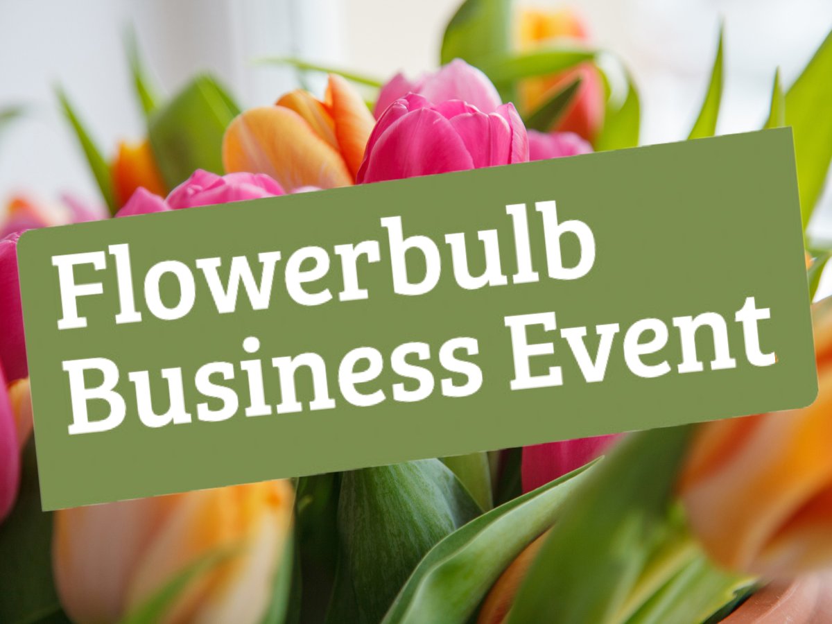 Voor de allereerste keer zal het Flowerbulb Business Event plaatsvinden op woensdag 28 februari bij Teeuwen en Zonen BV. Onder leiding van Janneke Willemse belooft het een inspirerende, informatieve en gezellige avond te worden. Dit wilt u niet missen!

➡️ ow.ly/Nwfb50QHIvJ