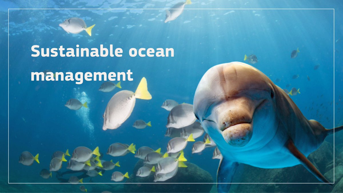 🌍 Discover 13 EU-funded projects that are revolutionising the way we manage &amp; protect our precious oceans &amp; seas.

Their sustainable management is key to:
🐠 successful biodiversity conservation
🐟 food security
👥 human health

Dive into their findings👉 europa.eu/!yg6bkF