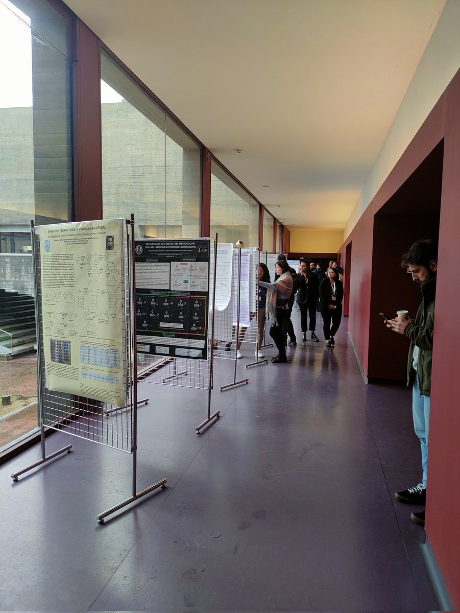 A warm coffe to enjoy the poster session <a href="/SCIorganica/">SCI Chimica Organica</a> <a href="/RSEQUIMICA/">RSEQ</a>
