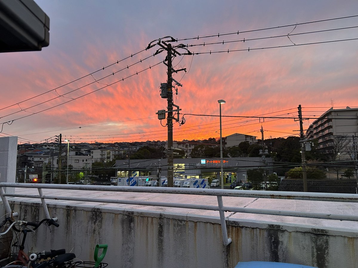 夕日綺麗だなぁ