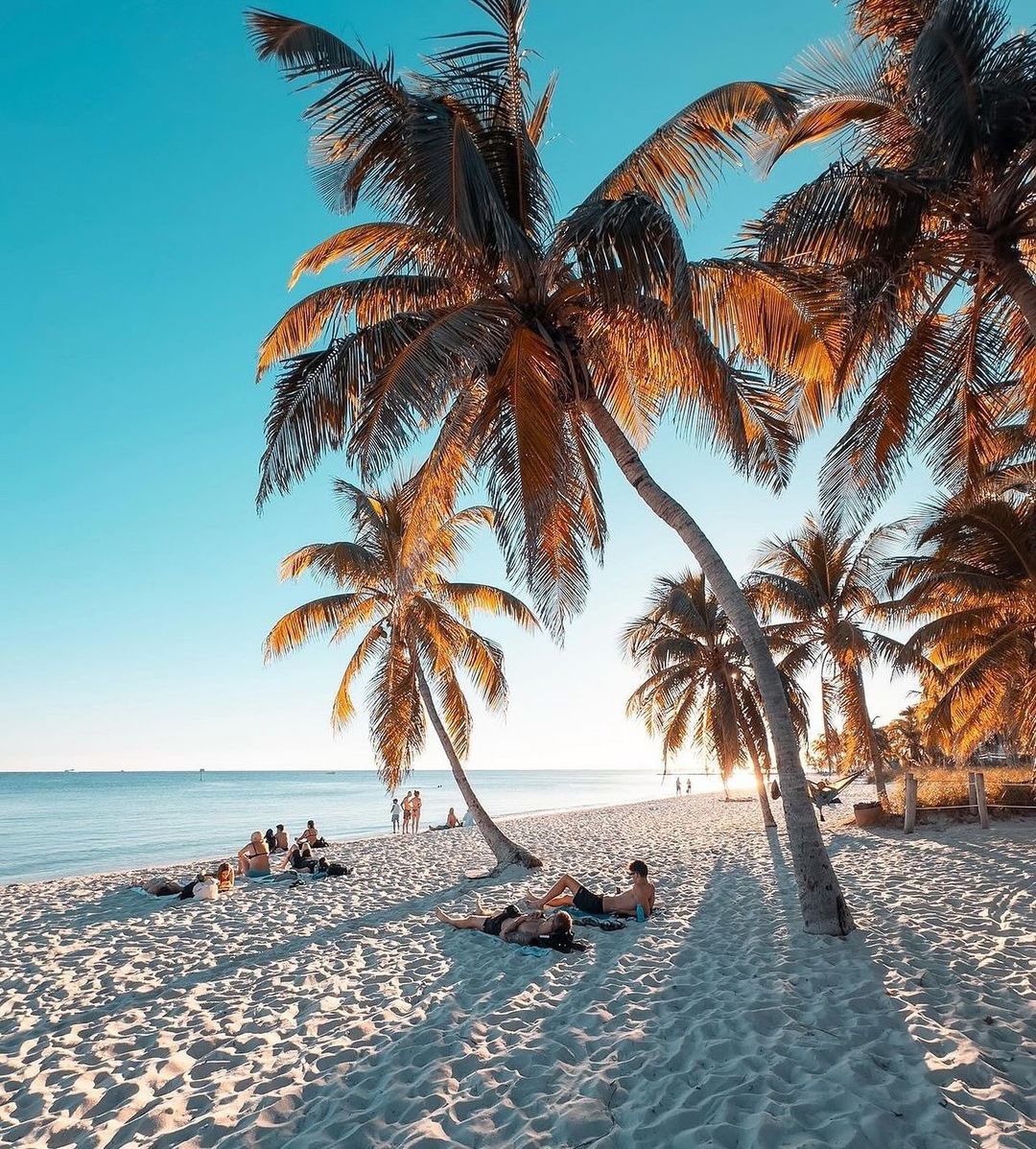 PrimeView780's tweet image. 📍Hawaii 🏝️