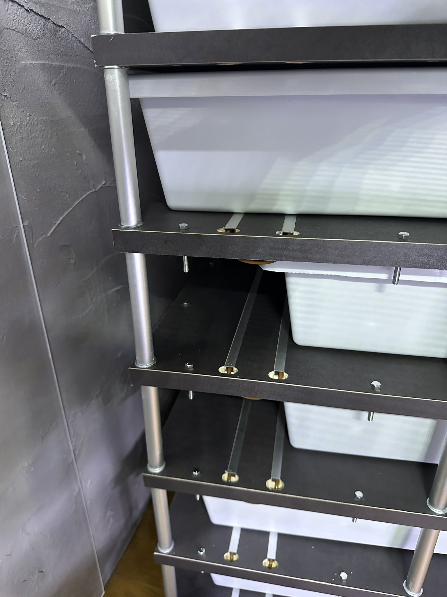 爬虫類　ラック USSI_OSAKA on X: 