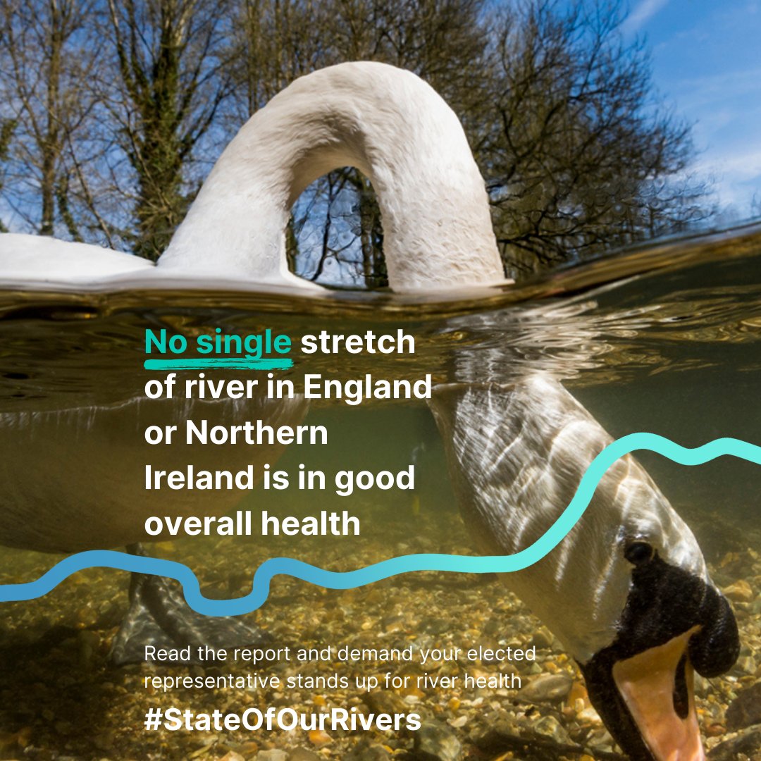 Look at the STATE of our rivers!👀 The latest @theriverstrust report delves into just how our rivers are faring, from the issues plaguing them to the solutions we need implemented. Explore stats, maps & more to understand the current #StateOfOurRivers 👉 theriverstrust.org/report