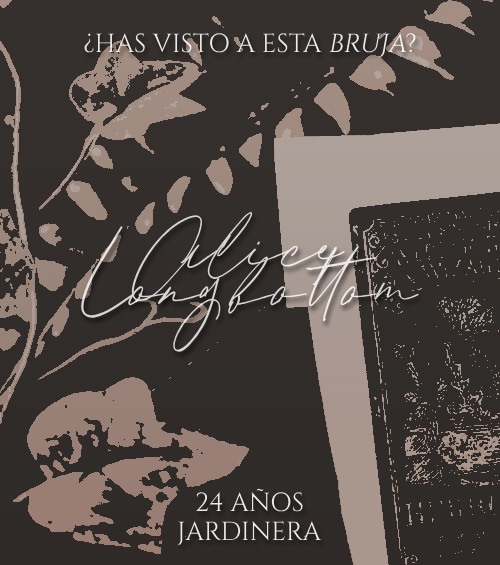 𝐌𝐢𝐬𝐬 𝐁𝐞𝐜𝐡𝐚𝐫𝐝. tweet media