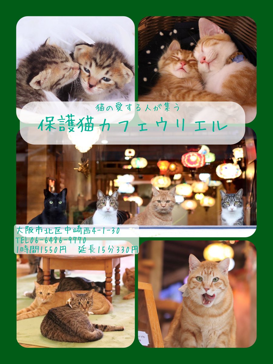 ヴィラ・ウリエル tweet media