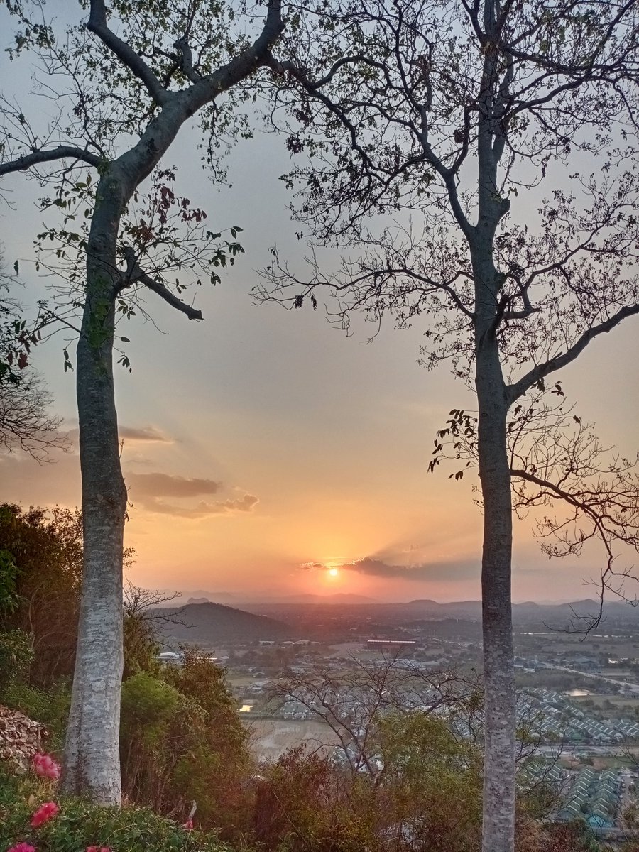 PathomphonTa's tweet photo. บรรยากาศยามเย็น #ธรรมชาติ #ราชบุรี 🌅⛰️🏃🚶 https://t.co/MyrJ7G1h8d
