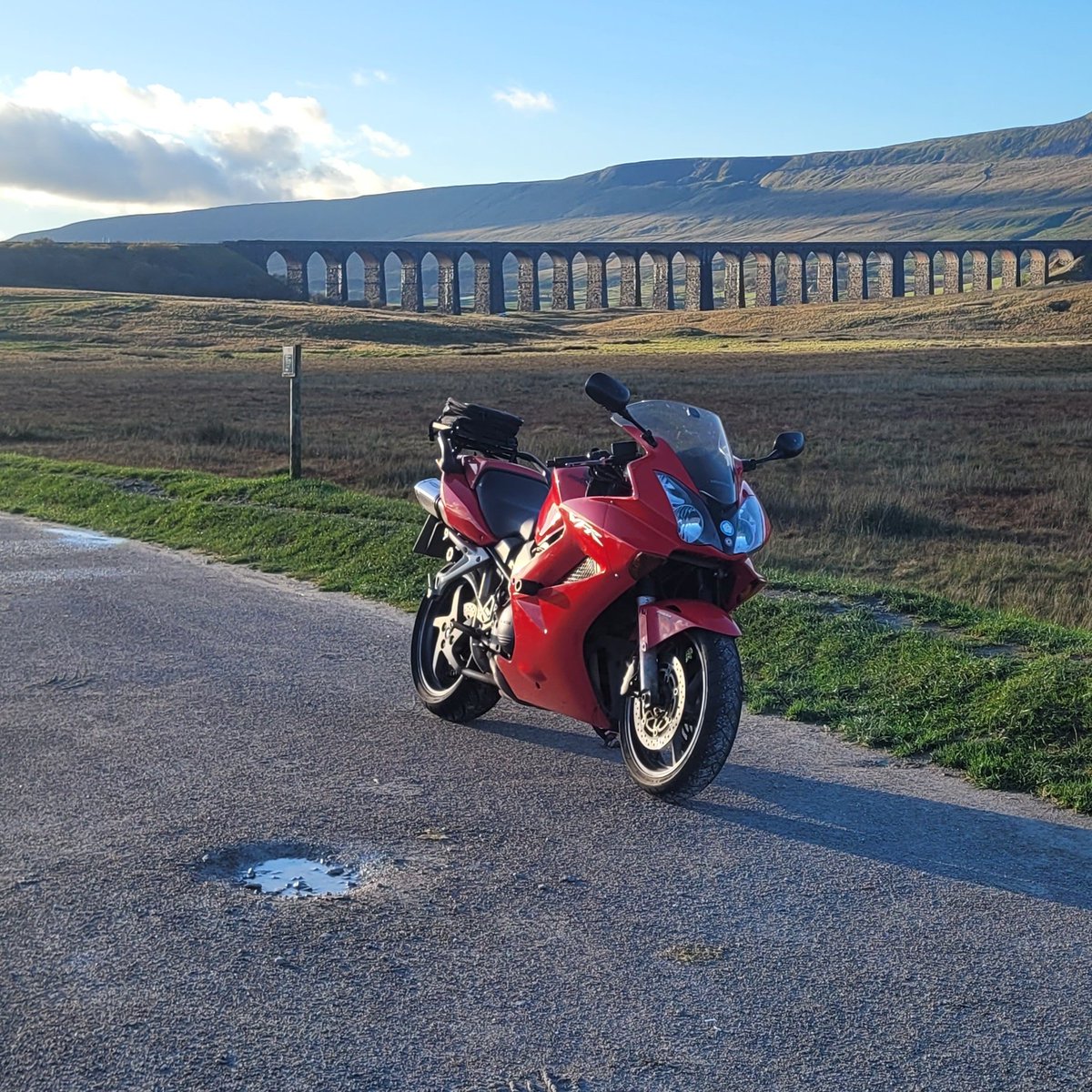 Freddtaylor's tweet image. #NewProfilePic