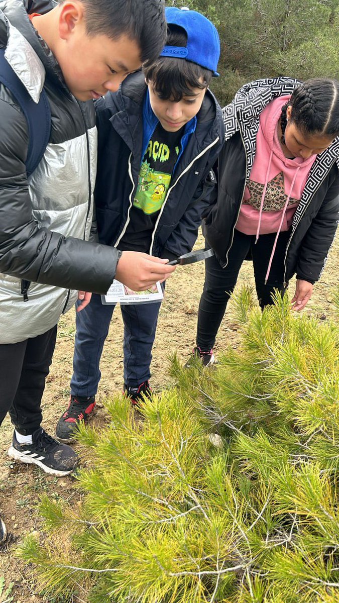 Hoy 26/2/24 <a href="/CeipMonsalud/">CEIP MONSALUD</a> y CEIP César Augusto #Zaragoza  plantando🌳 en #Peñaflor en <a href="/BosqueZgz/">BosqueZaragozanos</a> para escolares, ventana de plantación 19/2/24 - 8/3/24. Y divirtiéndonos y aprendiendo con actividades sobre el terreno de #EducaciónAmbiental.¡Mil gracias profesorado y alumnado! 💚