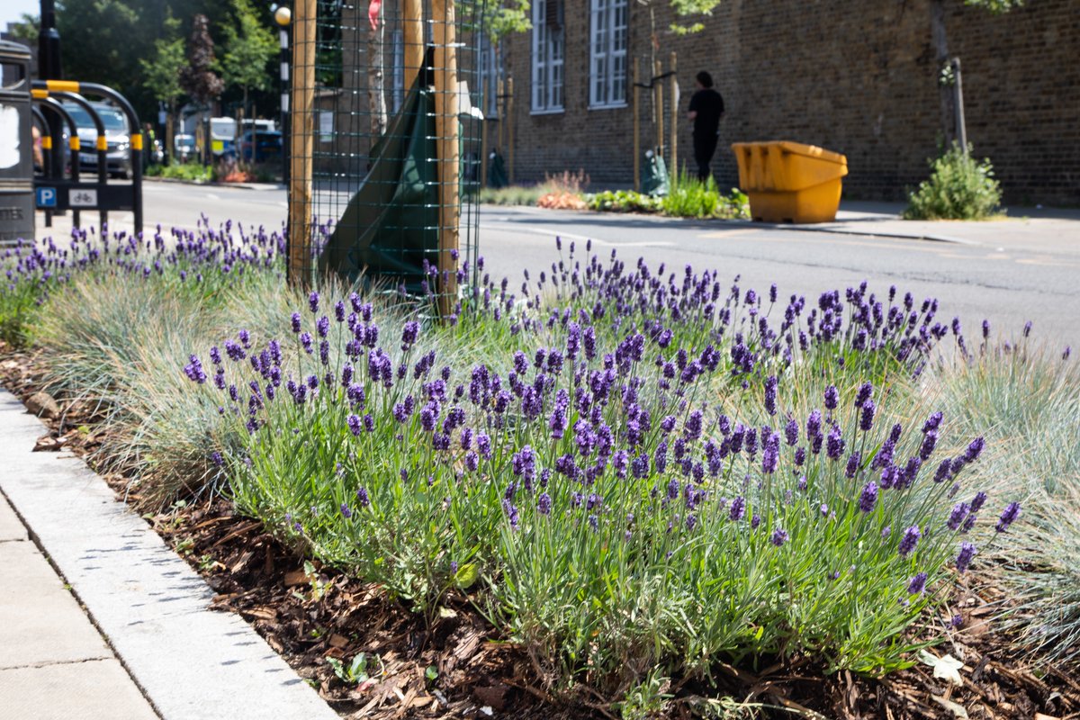 🌳🌷 🌿 Our goal is to make Islington a greener, and healthier place to live. The second round of #IslingtonGreenerTogether programme has launched today to encourage local people to transform unused and unloved places into great community spaces. 1/3